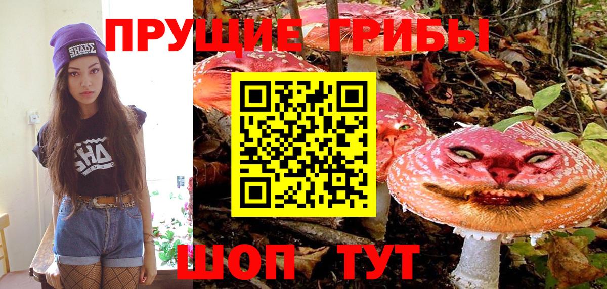 Псилоцибиновые грибы мухоморы  где купить наркотик  Чебаркуль  Галлюциногенные грибы GOLDEN TEACHER  Вход с VPN 