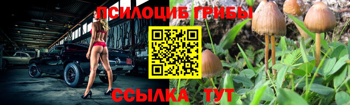 Псилоцибиновые грибы прущие грибы Чебаркуль